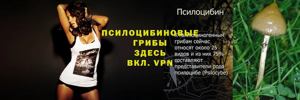 винт Алзамай