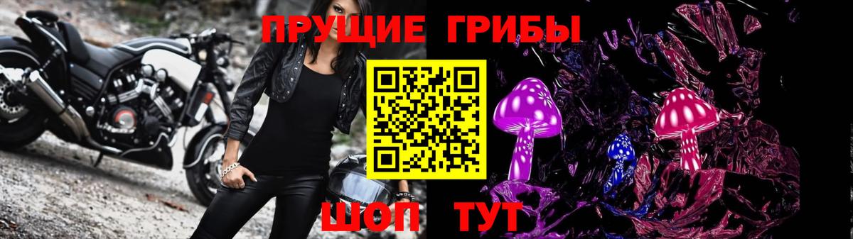 Псилоцибиновые грибы MAGIC MUSHROOMS  Псилоцибиновые грибы прущие грибы  Вход с VPN  Куйбышев 